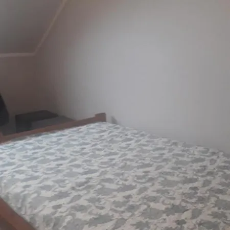 Reset Camp 크루클란키