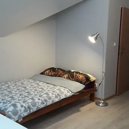 Reset Camp *